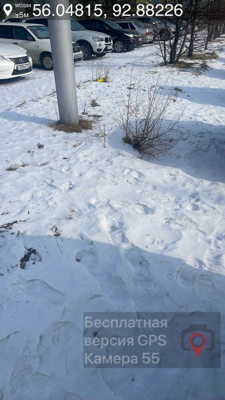 photo 2026 03 04 13 03 54