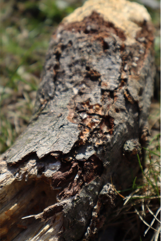 claireCabral_wabiSabi copy (3)