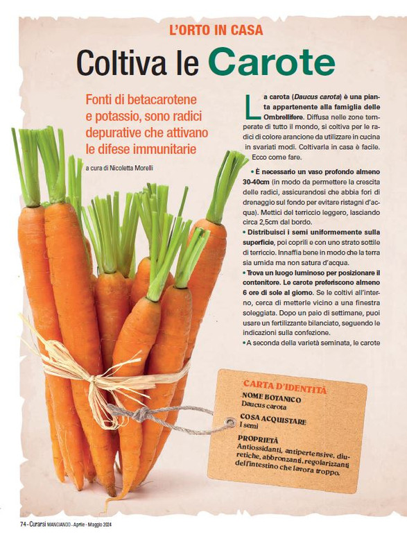 Cur Mang Apr-Mag 2024 (9)