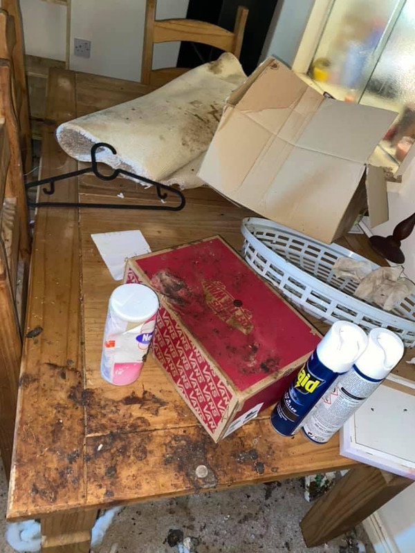 16FD3D1D-ECBA-4333-BAF9-F08D7AF24202