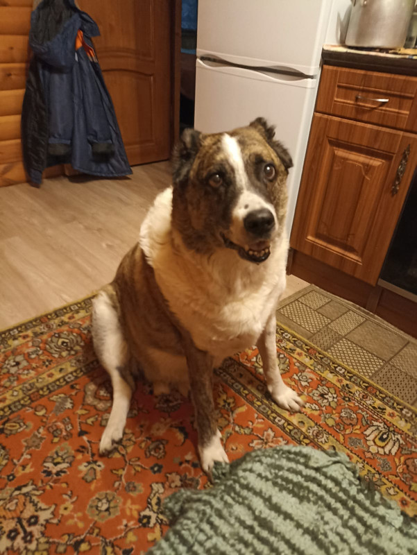 2F9DF3D5-9DB5-4826-AF36-A52574CD7126