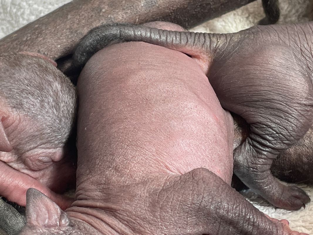 DBAF401A-A3C1-4A14-BB68-822BBEFA72C7