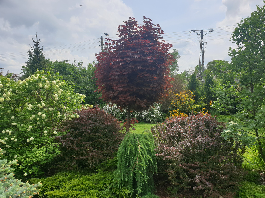 2019-05-18-13-31-23.jpg