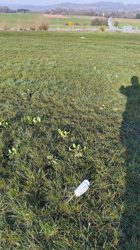 IMG 20260308 092754591