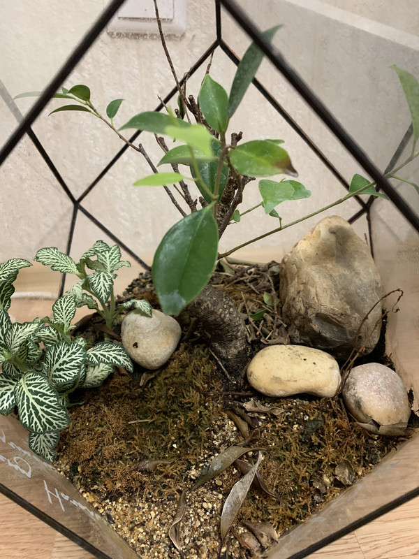 3CE9DE71-24A3-4639-A440-7A63672FB26B