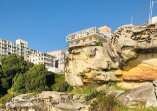 B10-B147-D-22-E3-4041-820-E-02-B590333-D