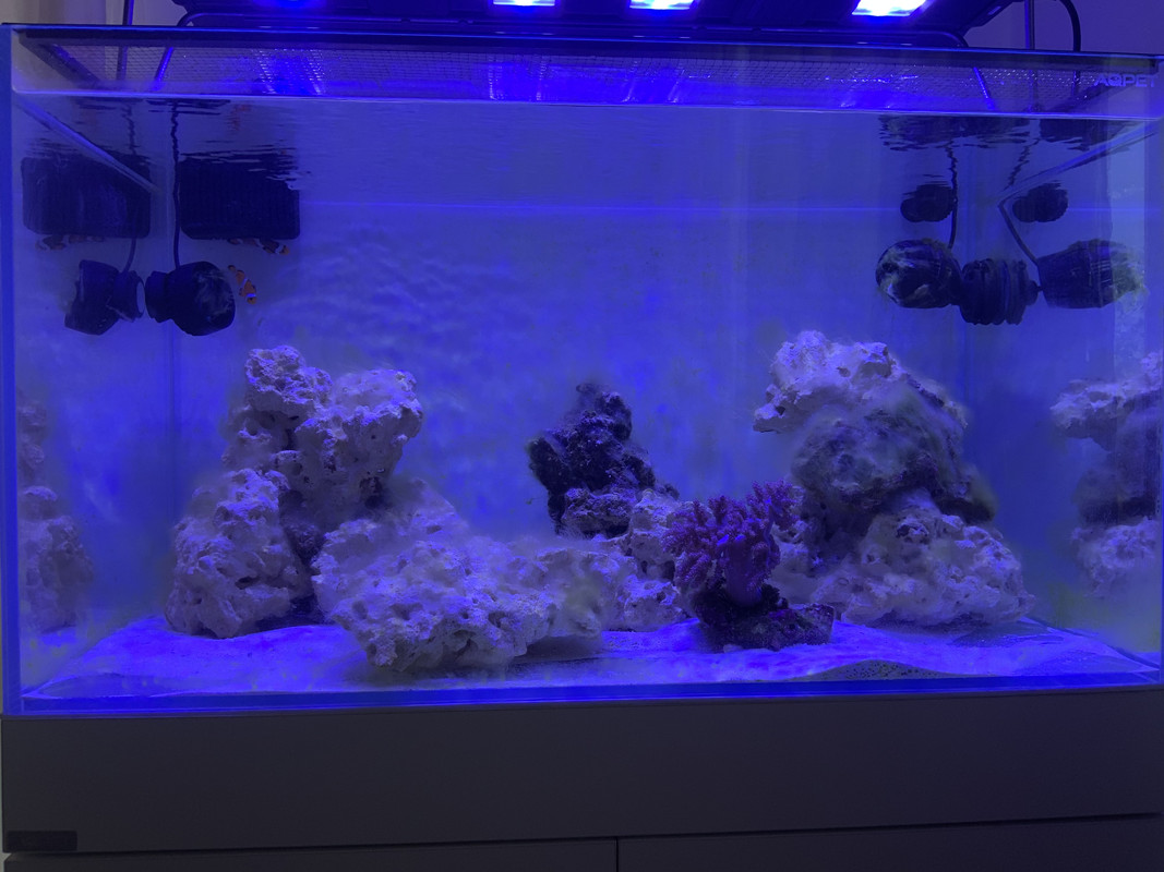 59BB7D3A-56A3-435B-8B03-87CC22CB82EE