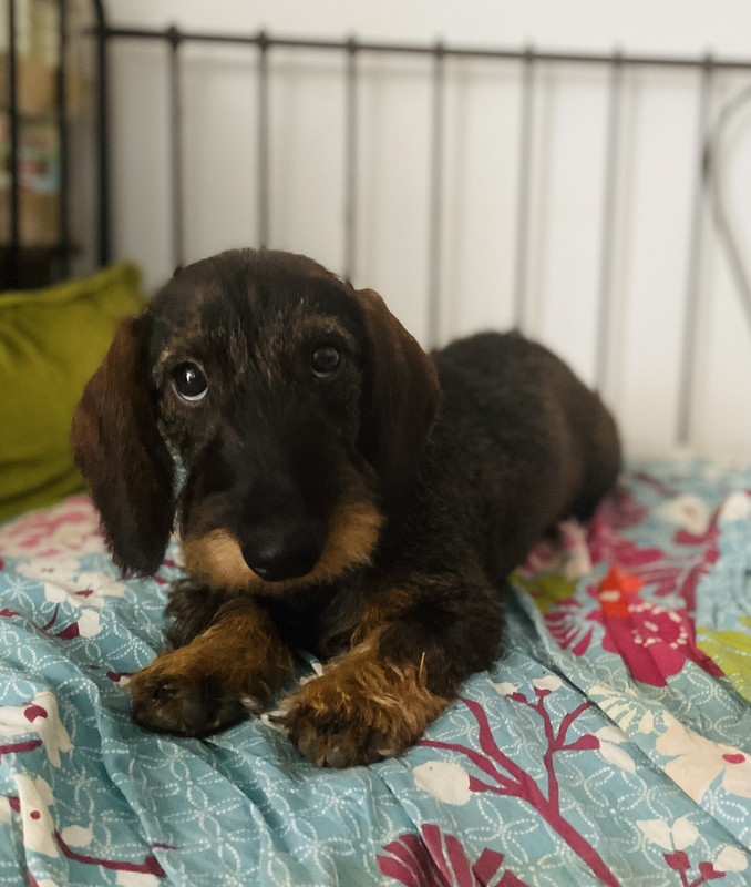 [Image: IMG-3437.jpg]