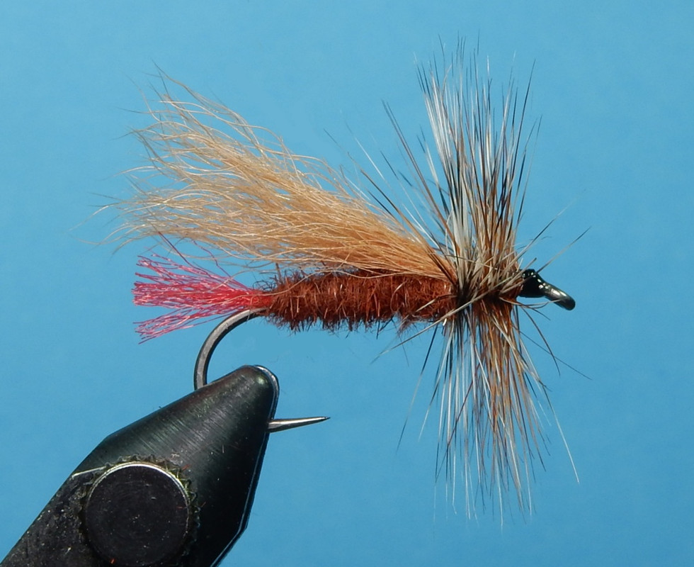 Jack-Cabe-Hopper-1080.jpg