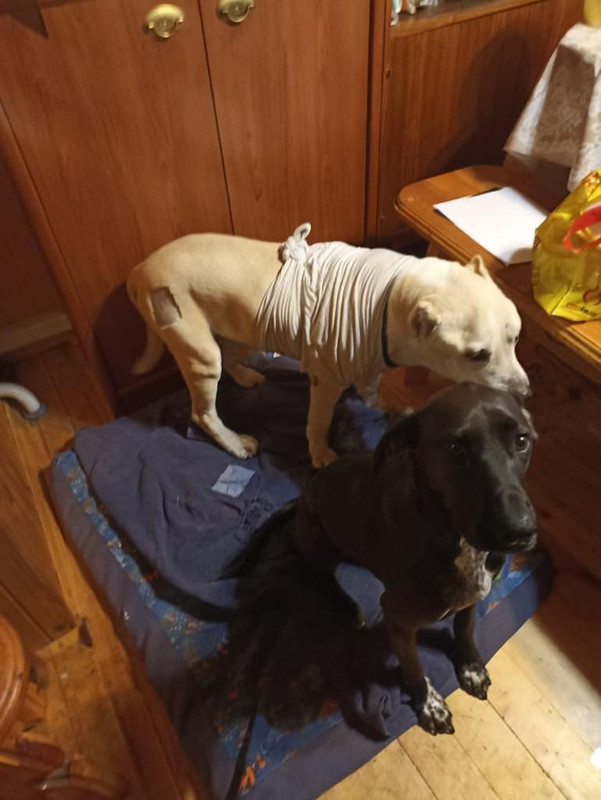 FD1FD293-FE72-4859-9DC2-4BEA430A4F02