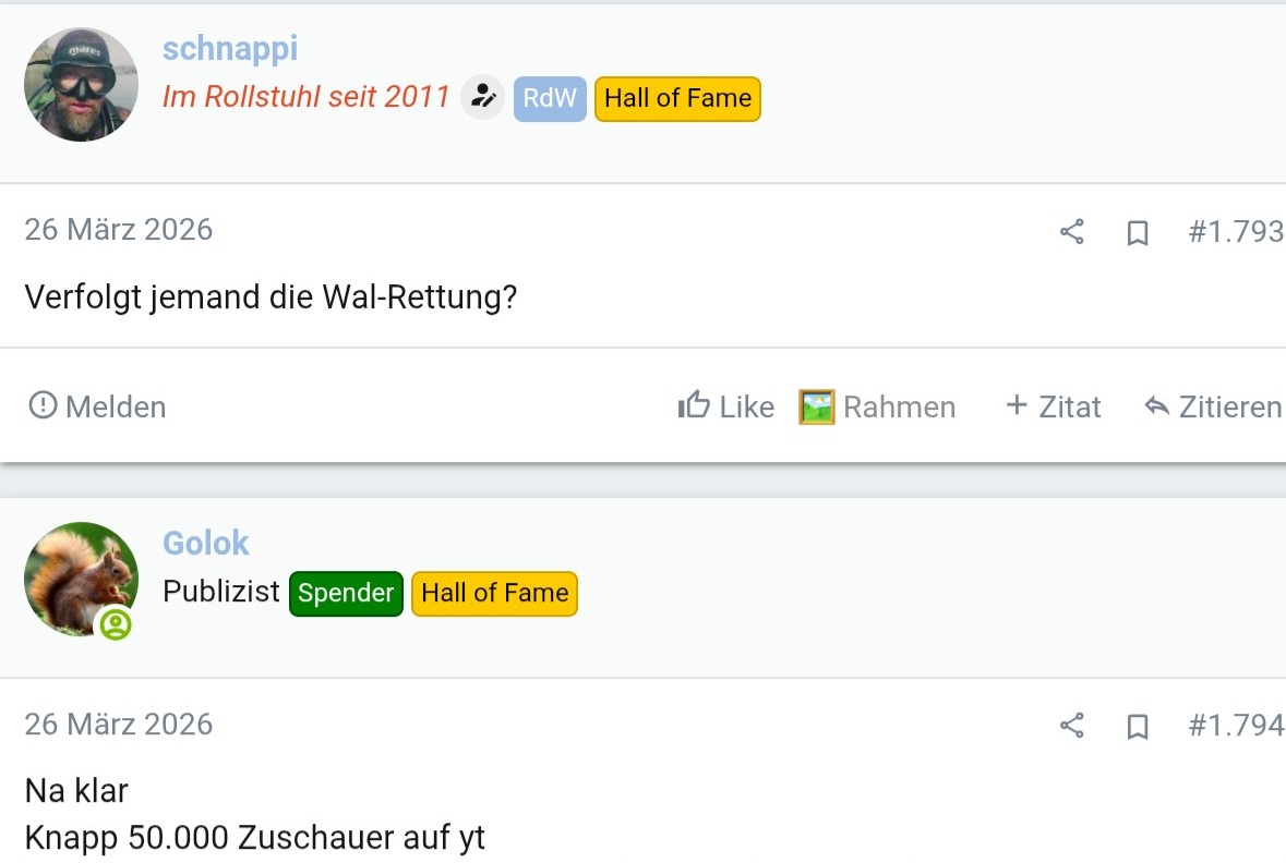 pio.jpg