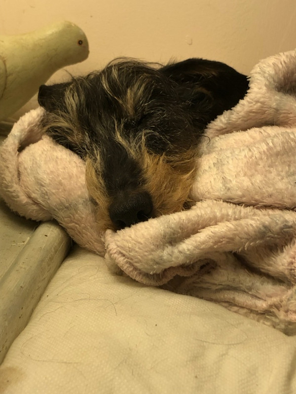 [Image: IMG-20231029-063227.jpg]