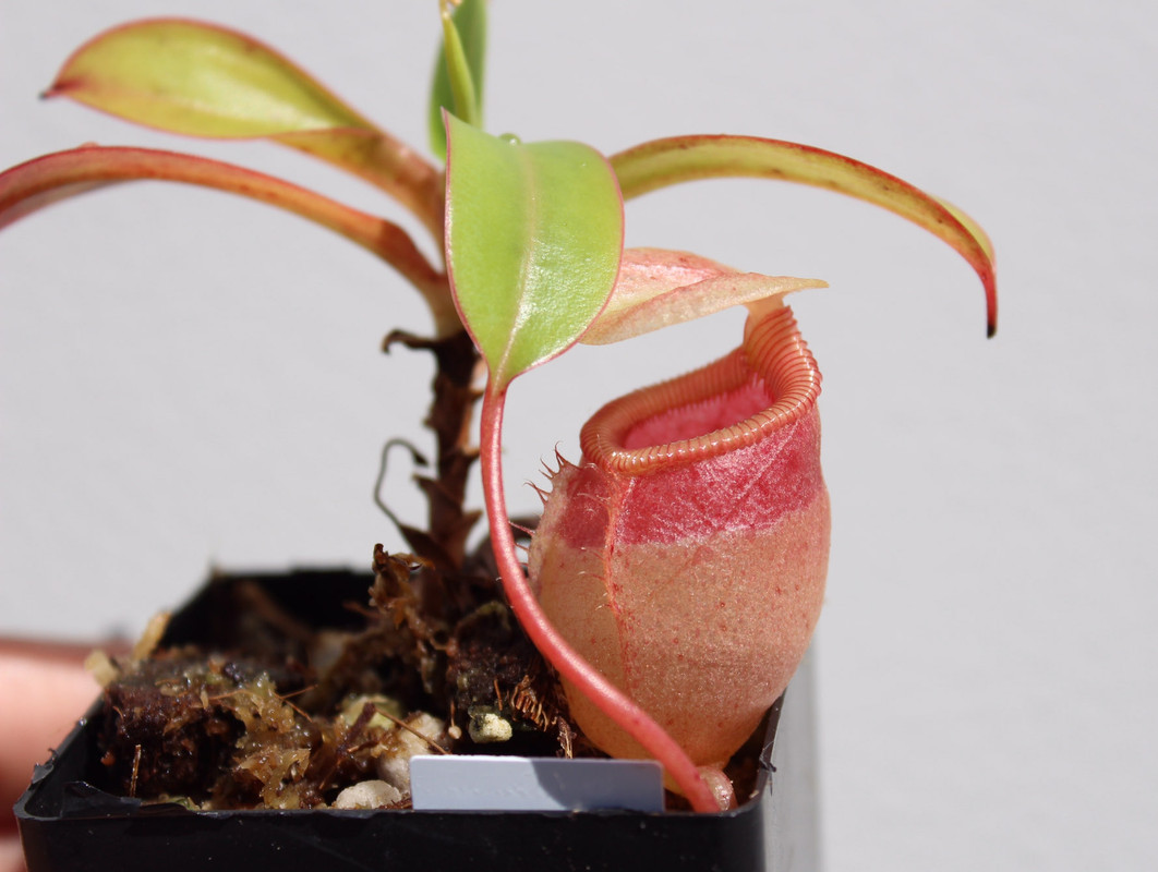 423E3E8B-4712-4585-9B6A-BD75737D86F3