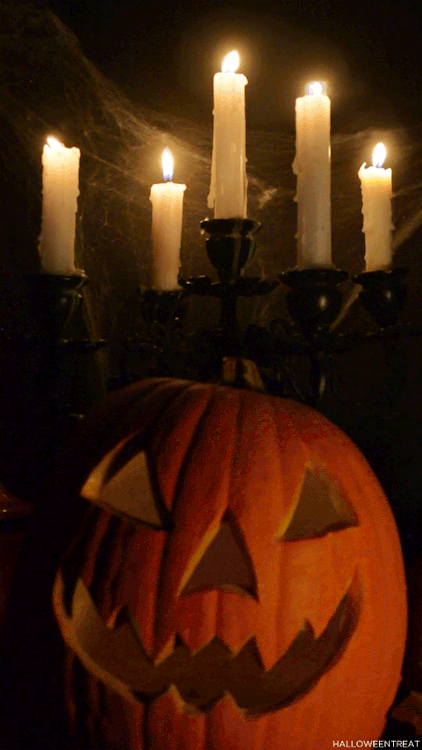 [Image: 2764d61735750479dc6c9d41506b6380.gif]