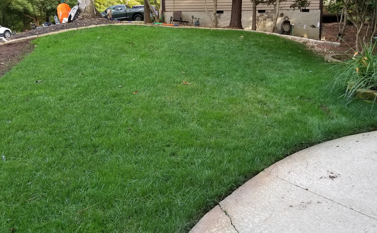 grass after fert