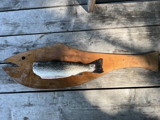 F89B3991-BF68-4EA4-B9A8-871B4229BD74