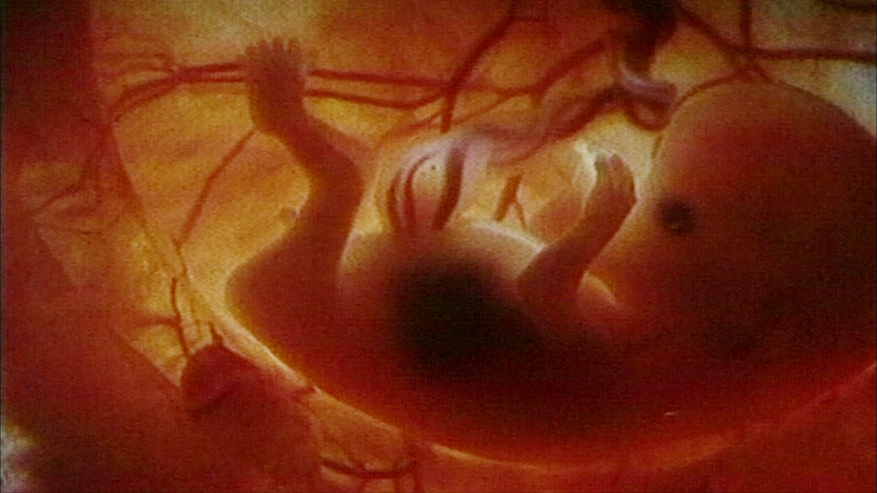 The.Universe.S03E04.Sex.in.Space.1080p.BluRay.REMUX.AVC.FLAC.2.0-EPSiLON[SS]33