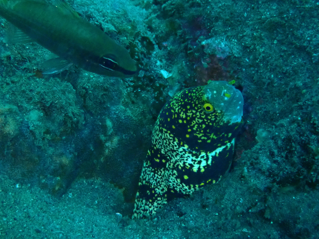 03C43805-E0EA-419B-A886-56F2E8F7E30B