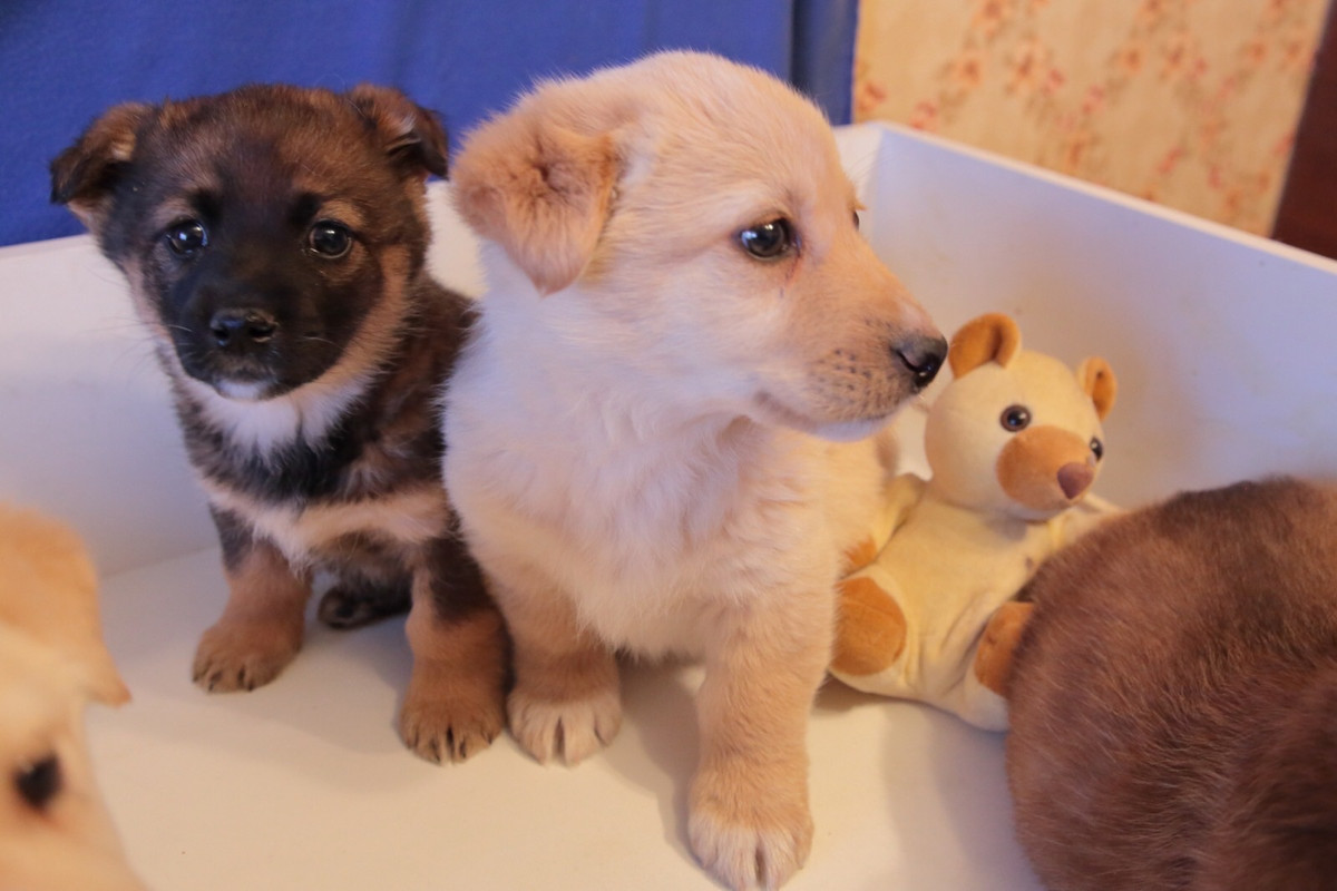 935F044C-4F84-4227-B5FA-D1012C85E465