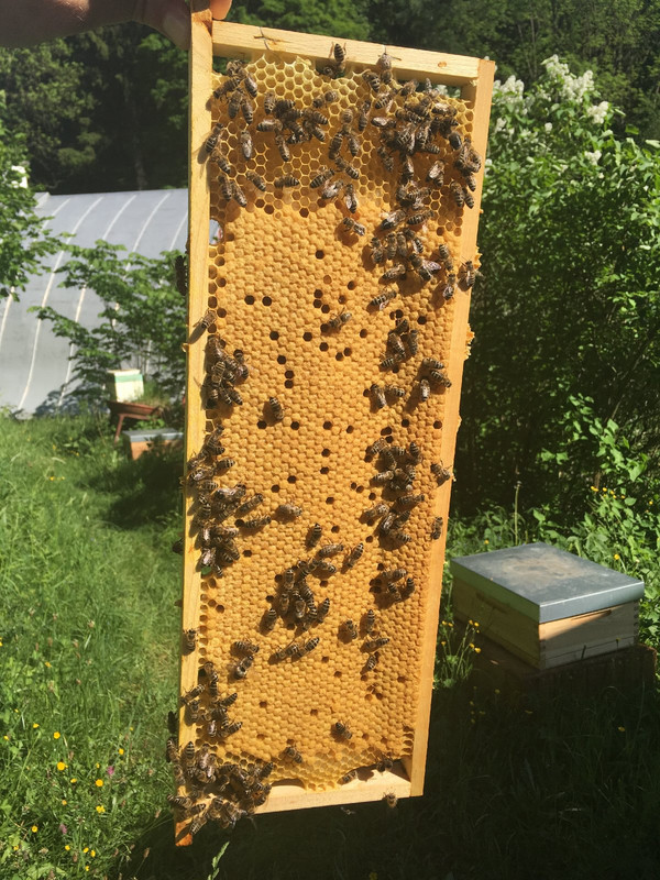 779091E1-A871-42E4-B5FE-D172F261CE2C