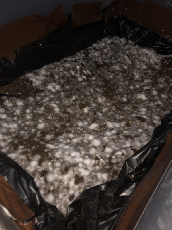 0DF79E79-7120-4E7E-9256-8ED06C6B39C4