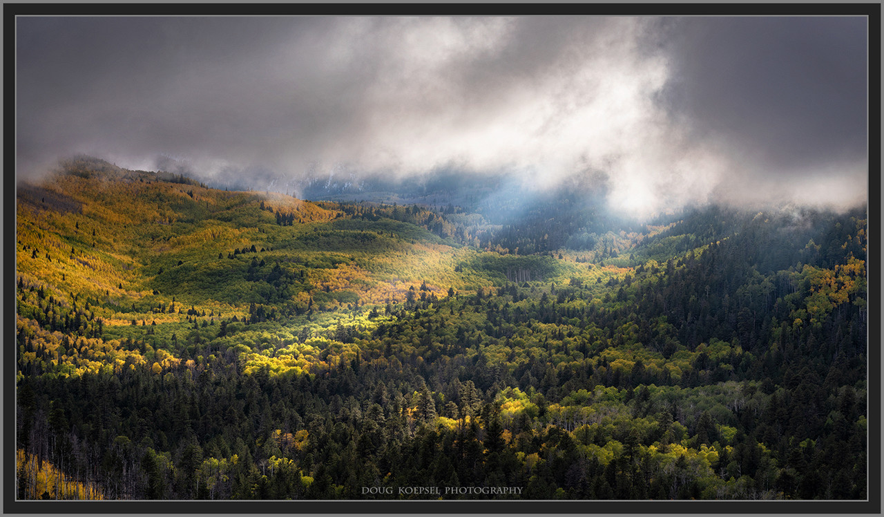 Ed1400VigTCGGBlend192, 193Lockett10-12-18_0193 copy