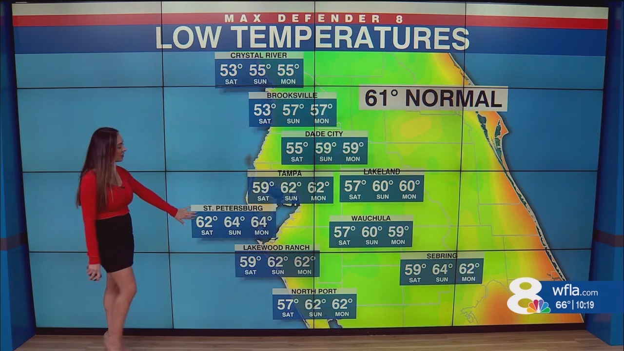 NewsChannel 8 News at 1000pm_20241116_03000330.ts_snapshot_19.59.536