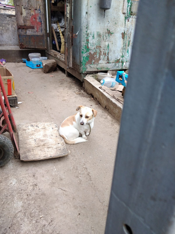 изображение_viber_2023-04-08_17-22-46-531