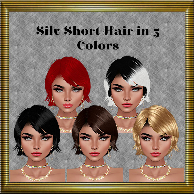 Silv-Hair-Product-Pic