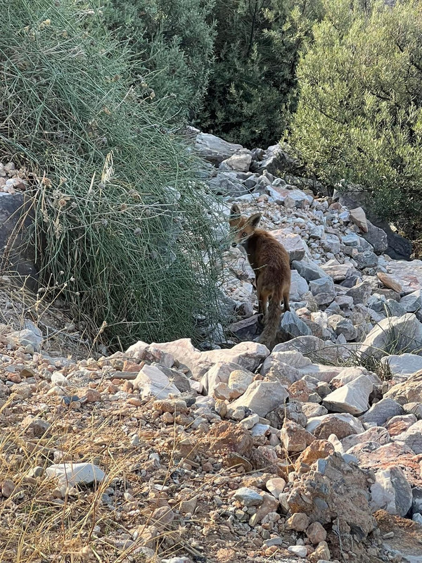 BCC18976-E42B-4DA3-B599-99678C0E0EA2