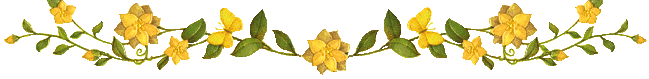a5 (649x79, 17Kb)