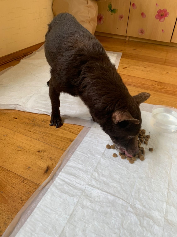 CA309B21-22DA-4DDC-B7B3-721242FC3E68