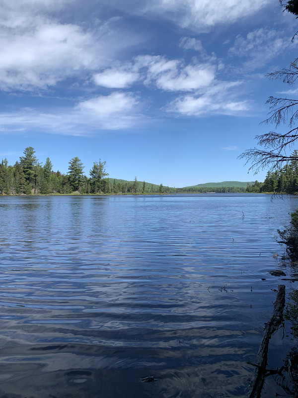 C3F8E48B-3F5B-4EF9-AAA0-EA5398C66797