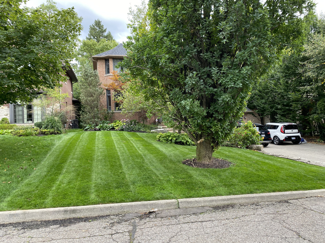 7B6E7F03-008B-4FDE-914B-47B64029D3EF