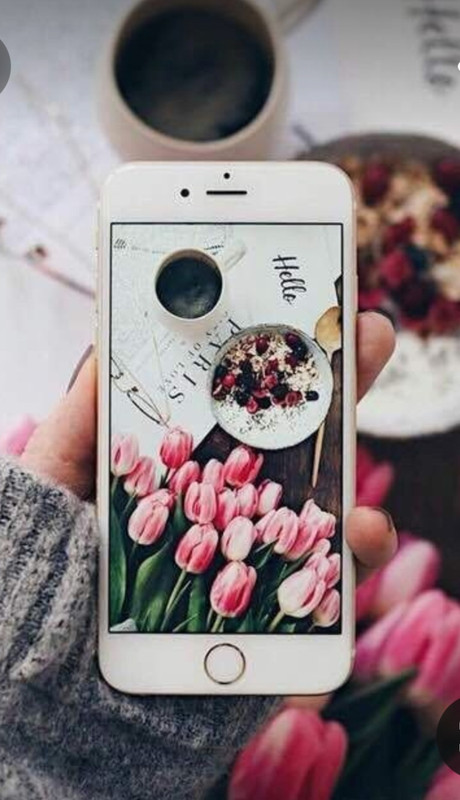 Screenshot_20230220_000100_Pinterest