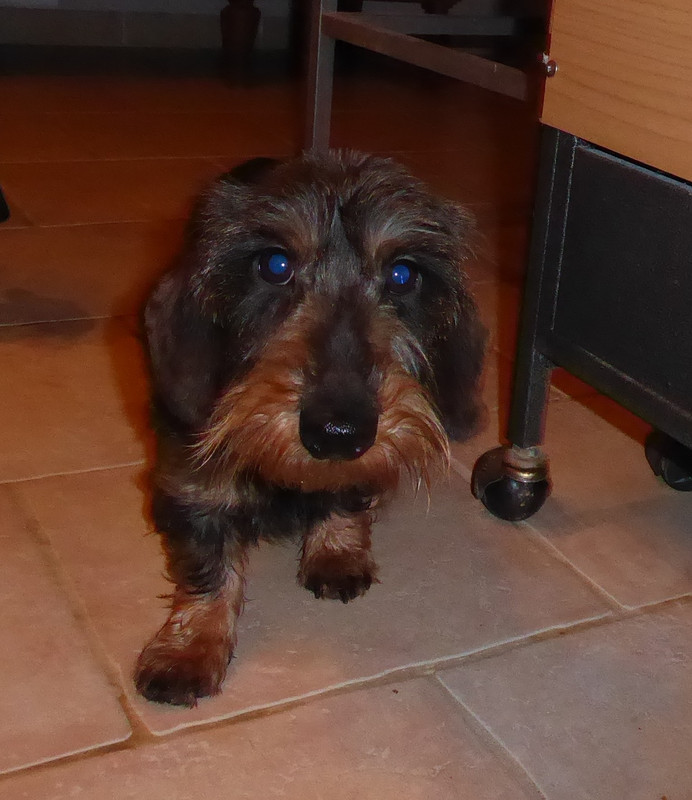 [Image: P1050963.jpg]