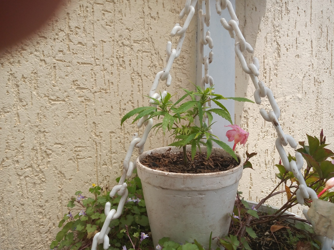 IMG_20200922_131204598