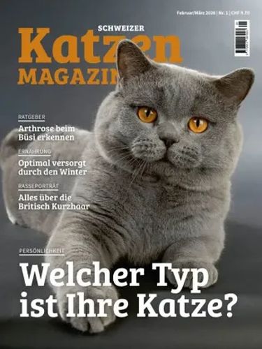 Katzen-Februar-Marz-2026.jpg