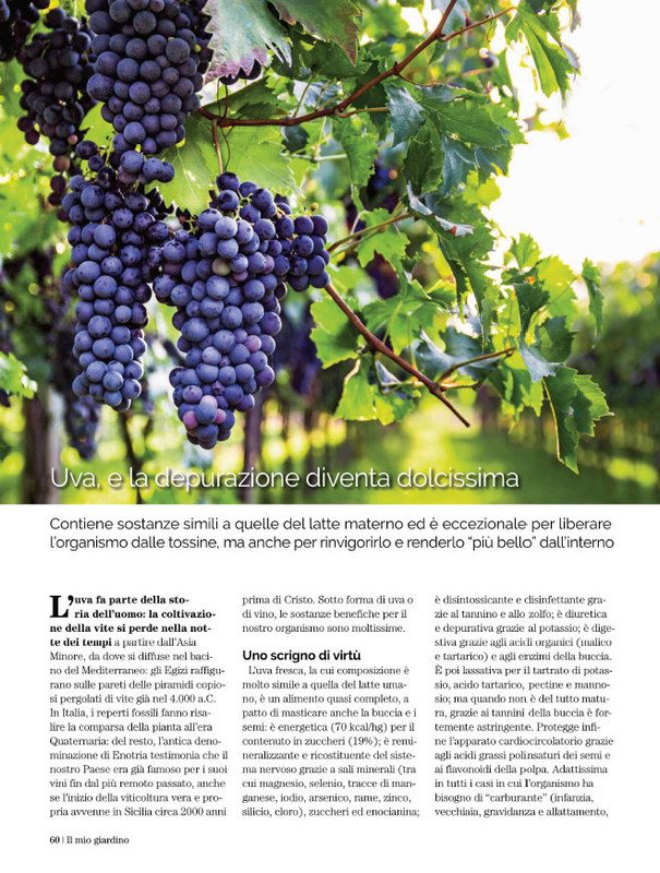 Il Mio Giar Ott-Nov 2022 (11)