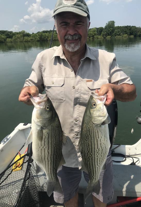 D4DBAFE9-1782-4B9B-9E1E-67B12770947C