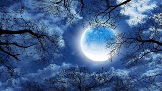 Thơ hoạ Nguyễn Thành Sáng & Tam Muội (1083) Beibehang-Custom-wallpaper-beautiful-moon-starry-sky-tree-forest