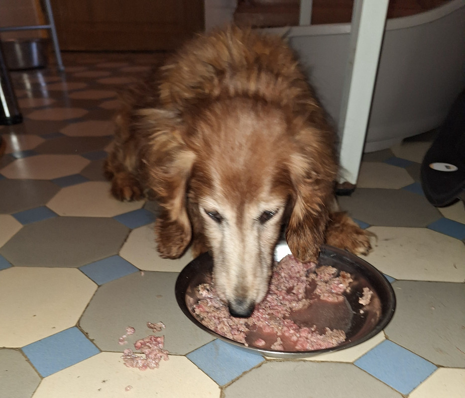 [Image: 20240823-194435.jpg]