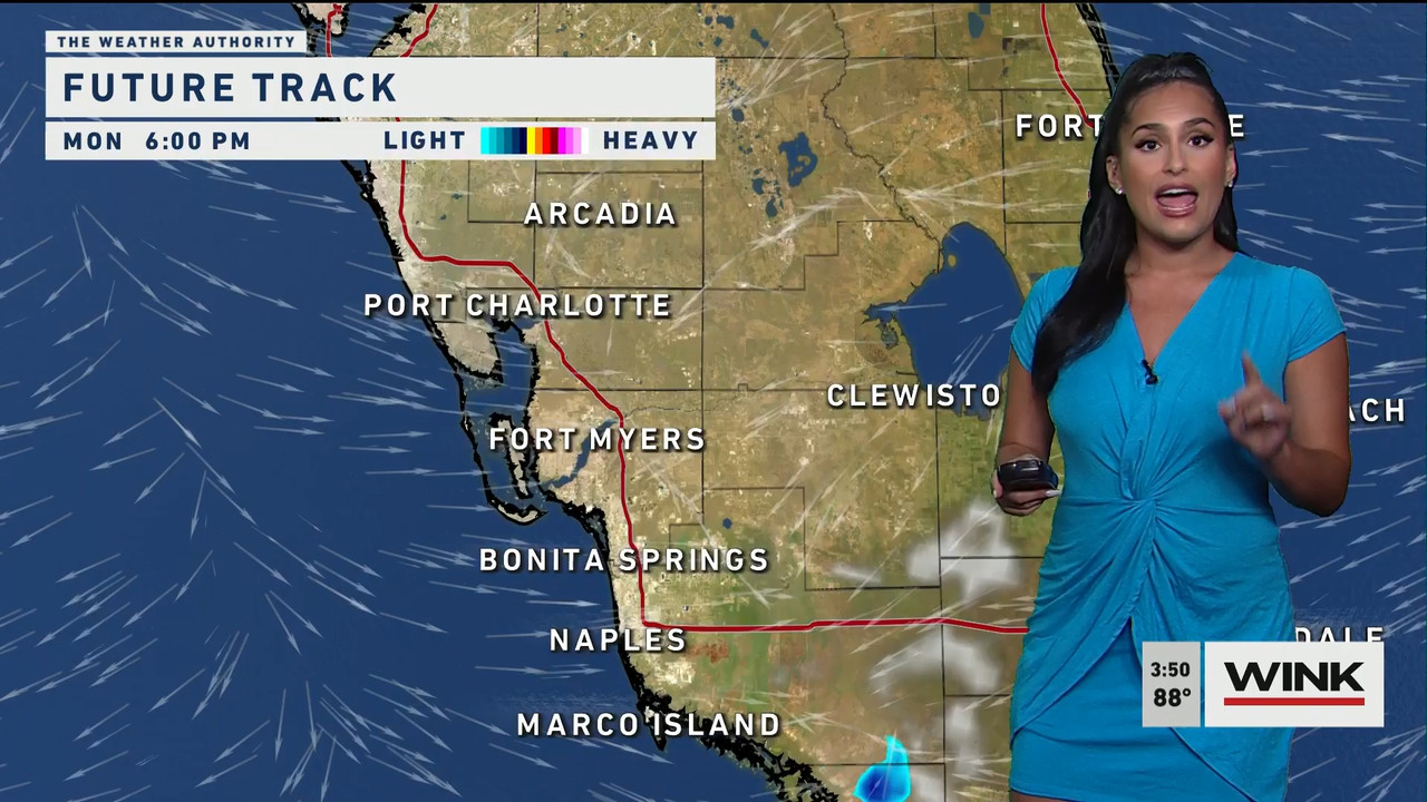 05.08 - 20.00.00 - WINK News at 3pm  ᴺᵉʷ..ts_snapshot_00.56.36.496