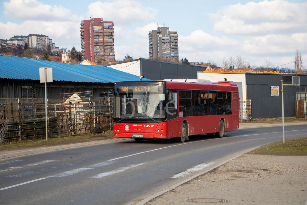 45601-2w.jpg