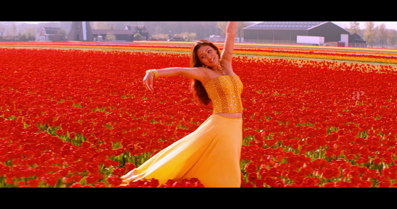 VideoCapture_20241122-200411