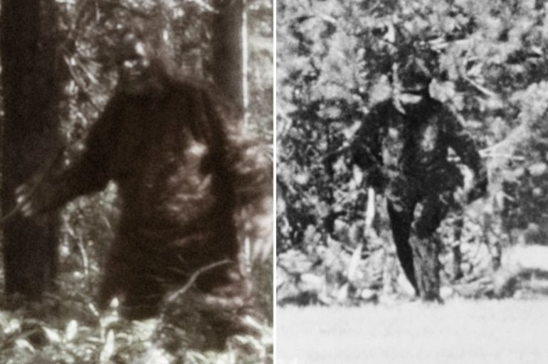 Bigfoot esiste veramente