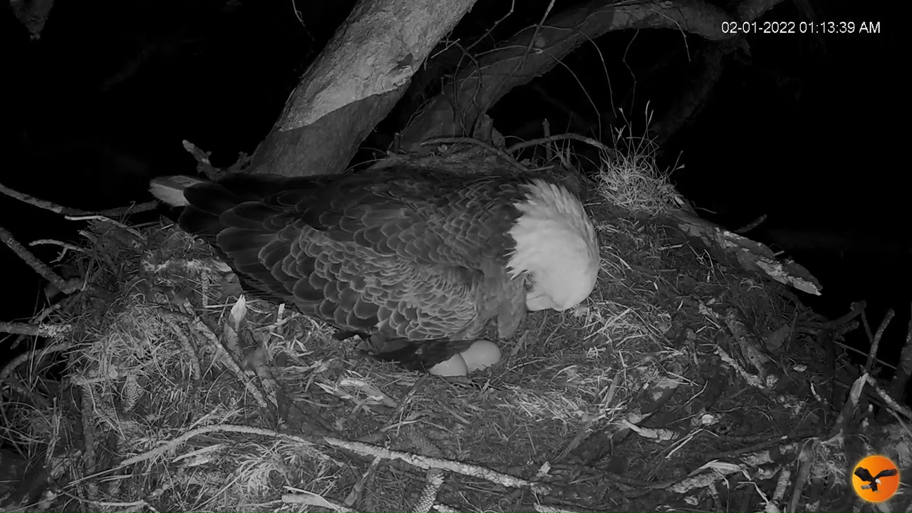 EC 4K Overhead Cam 9-57-25 screenshot