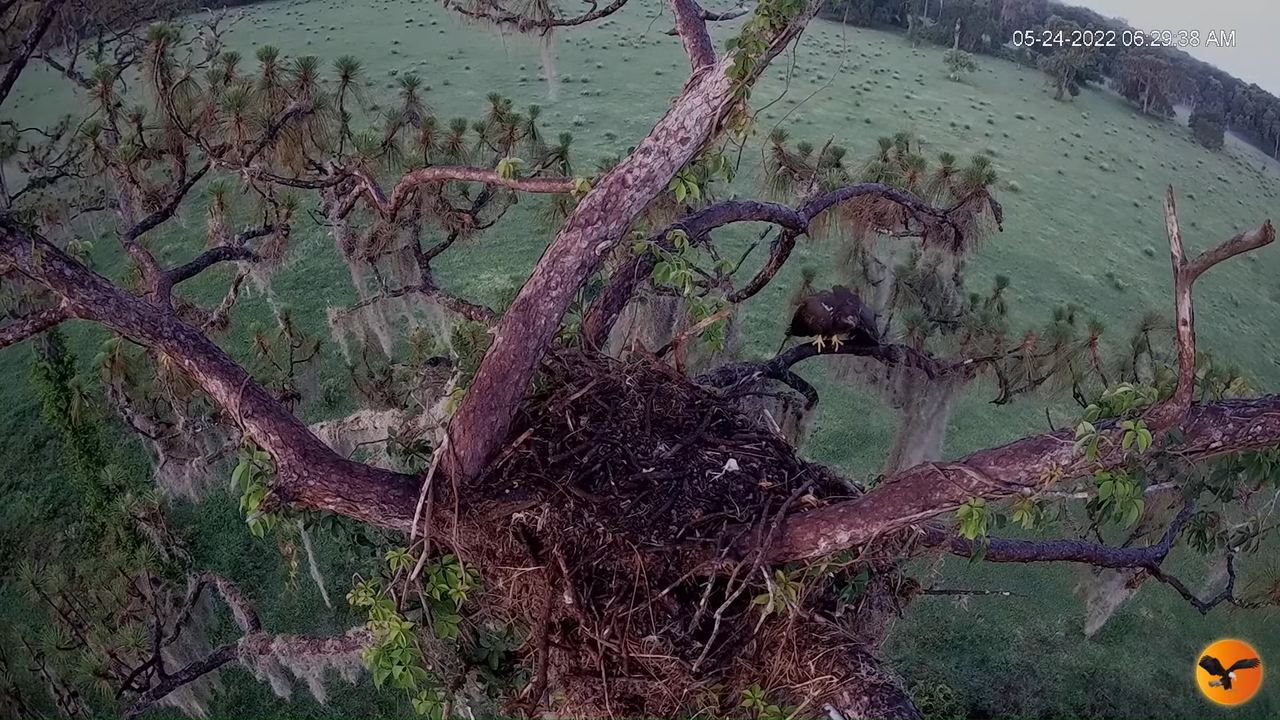 EC 4K Overhead Cam 2-34-38 screenshot