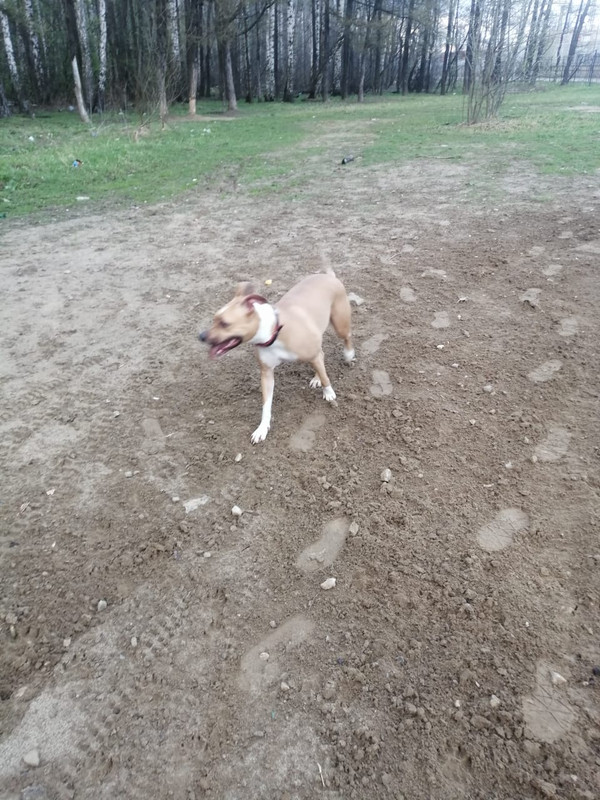 EED5CE9D-D61F-418D-A067-CF5E45B361CC