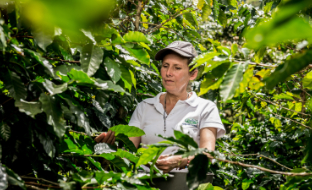AAA Colombian program